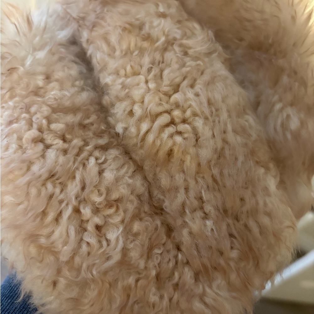 Vintage Lambskin Fur Kendal Milne Toque - Picture 7 of 10